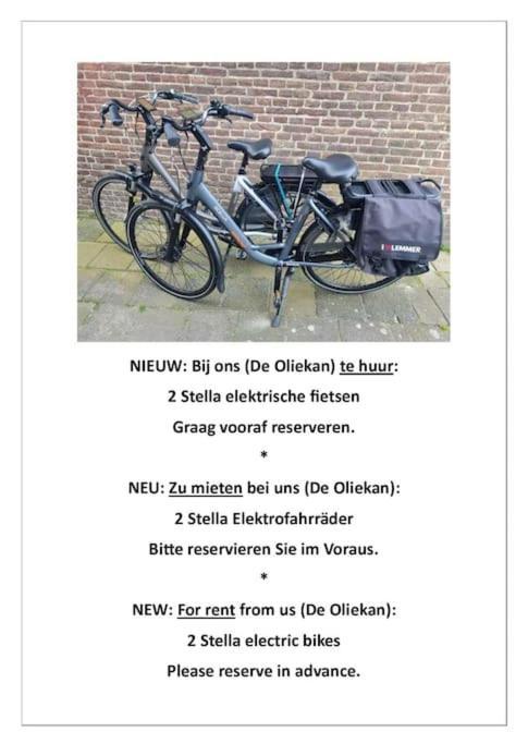 De Oliekan Medium Lemmer